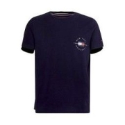 21日10点：TOMMY HILFIGER 汤米·希尔费格 男士短袖T恤 MW0MW17680