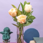 PLUS会员：花点时间 花玫瑰 设计款mini花束
