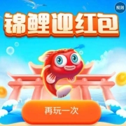 鸽子腿：美团APP 锦鲤迎红包 抽现金券 测试领到4.29元