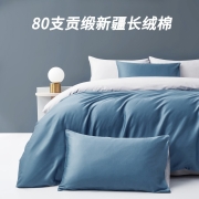 AIDLI 床上四件套纯棉80支新疆长绒棉纯色全棉双人套件 80支套件-宾利兰+浅灰 200*230cm（1.5/1.8m床）床单四件套