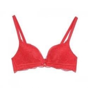 5日10点：Embry Form 安莉芳 女士文胸内衣 EB1257RED