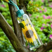 Evergreen 爱屋格林 创意贴花玻璃水杯 580ml