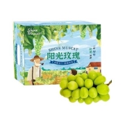 88VIP、预售：阳光玫瑰葡萄 3斤礼盒特级大果 单果重约12-14g