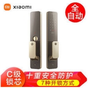 MI 小米 XMZNMSTO2YD 智能门锁 磨砂金