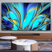 FFALCON 雷鸟 雀4SE系列 43F165C 液晶电视 43英寸 1080P