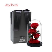 JoyFlower 永生玫瑰花玻璃罩礼盒