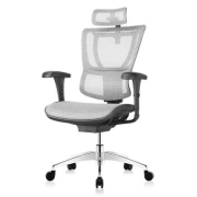 PLUS会员：Ergonor 保友办公家具 优b 家用电脑椅 旗舰升级款银白网