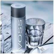 VOSS 芙丝 饮用天然矿泉水500ml*12瓶(塑料瓶)弱碱性水整箱装