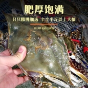 首鲜道 舟山特产液氮活冻梭子蟹 5-8两大蟹 （4-6只）3斤装