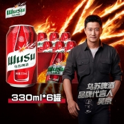 乌苏啤酒 WUSU 易拉罐听装整箱 新疆大乌苏啤酒 国产啤酒 红乌苏听装 330ml红乌苏 6罐装