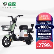 绿源超长续航锂电池电动车新国标电动自行车  ZFB 千草绿48V24A (下单后10天内发货)