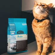 【直营】Acana爱肯拿加拿大进口无谷猫粮海洋盛宴猫咪干粮5.4kg