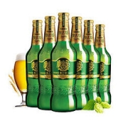 TSINGTAO 青岛啤酒 奥古特12度480ml*6瓶 整箱装（电商尊享）