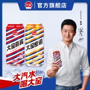 内蒙特产 大窑 嘉宾/果味/荔爱 怀旧易拉罐碳酸汽水 500mL*8罐*2箱