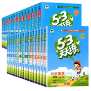 《53天天练》（年级，科目任选）