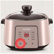 SUPOR 苏泊尔 DZ25YC868 电炖锅 2.5L