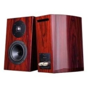 Cayin 凯音 T30 HiFi音箱