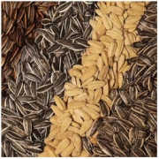 袋装瓜子五香味瓜子 500g
