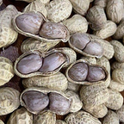 喜枣缘 水煮花生 1000g