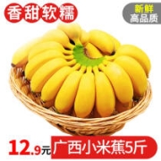 京东极速版：寻味君 广西香蕉 5斤