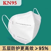 甄魅莱  KN95口罩 100只