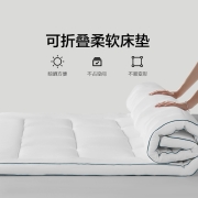 水星家纺A类酒店床垫软垫夏天加厚垫褥家用褥子防滑垫子夏季垫被