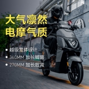 【新品】雅迪电动车新款DS5新国标电动自行车NFC智能启动长踏板线条感长续航电瓶车可上牌 90S灰色-4824锂电（质保3年）3A充电器