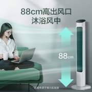 格力（GREE）遥控电风扇节能风扇家用低噪塔式电扇高颜值塔扇风扇 (FL-08X61Bg)