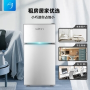新飞（Frestec）小型冰箱双门家用宿舍寝室冷藏冷冻小冰箱双开门式迷你电冰箱节能保鲜双门小冰箱特价 58A118双门银色【节能省电款】
