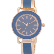 ANNE KLEIN 女士石英腕表 AK/3690BLRG  211.88元含税直邮