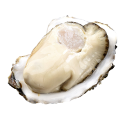 PLUS会员：澳角大厝 鲜活乳山生蚝 1斤×5件