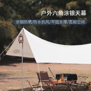 京东京造 六角天幕 户外露营遮阳防晒 沙滩帐篷野餐防雨水 折叠便携超大多人凉棚