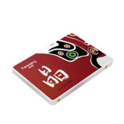 FANXIANG 梵想 S100 SATA3.0 固态硬盘 1TB