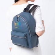 Coach 蔻驰 Jes 女士真皮双肩包F76772  直邮含税到手￥1215.12