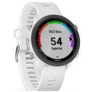 GARMIN 佳明 Forerunner 245 Music 运动手表