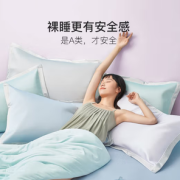 柔弹透气！YANXUAN 网易严选 牛奶冰丝席两件套 冰川蓝 0.9m