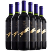 COUGAR 美洲狮 柯诺苏酒庄 美乐干红葡萄酒 750mL*6瓶