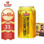珠江啤酒（PEARL RIVER）10度 珠江金麦穗啤酒 330ml*24听 整箱装