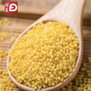 聚划算百亿补贴：汾东 黄小米 5斤