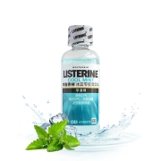 LISTERINE 李施德林 基础护理系列 冰蓝零度漱口水 100ml *16件