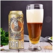 STEAM BREW 进口德国原装斯汀姆（STEAMBREW）IPA精酿啤酒高度500ml*12听7.8度烈性浓香礼盒装