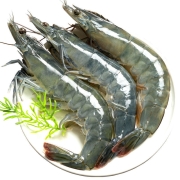 PLUS会员：挑霸 海捕青岛大虾 1斤（约20条） *4件