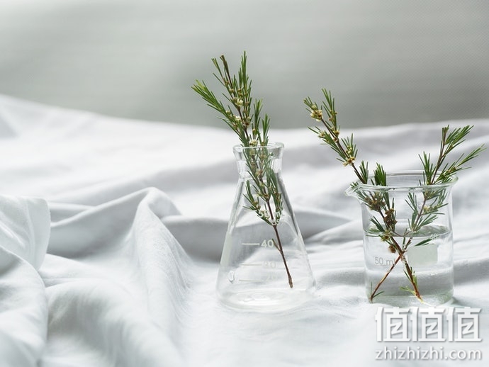 敏感肌怎么选择化妆水？敏感肌化妆水选购指南