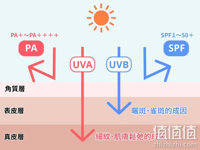 如何选择防晒乳？防晒乳选购指南