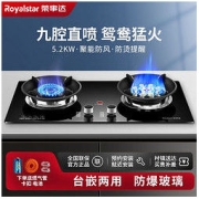 Royalstar 荣事达 燃气灶双灶鸳鸯灶天然气猛火煤气灶家用液化气灶炉具RB713