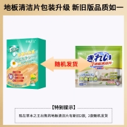 草本之王地板清洁片强力去污清洁剂瓷砖木地板大理石多效护理保养增亮去污留香拖把清洗剂 地板清洁片150片（5包）