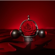 ROSEONLY X SKULLPANDA联名爱·无畏限定系列向爱玫瑰永生花送女友潮玩七夕情人节礼物 向爱玫瑰