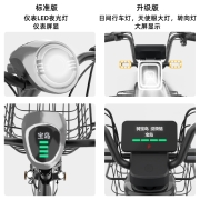 宝岛电动车新国标成人电动自行车男女式电瓶车48V超长续航锂电池电单车 标准版太空蓝配48V20A天能/超威铅酸电池