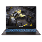 20点开始：Hasee 神舟 战神T8-DA5NP+ 16英寸游戏本（i5-12500H、16GB、512GB、RTX3060）