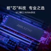 海康威视（HIKVISION）512GB SSD固态硬盘 M.2接口(NVMe协议) C2000ECO系列